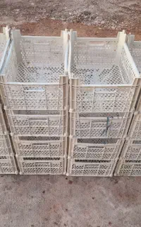 فروش سبد 10کیلویی رنگ مناسب برای انگور و انار