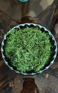 آویشن کوهی