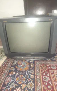 تلوزیون