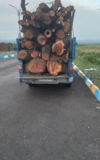 خریدار‌انواع‌چوب‌