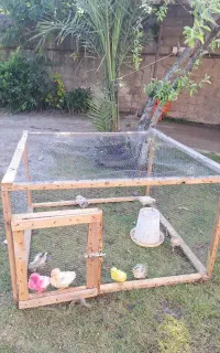 لانه حیوانات