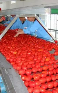 استخدام نیرو کارخانه