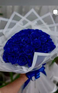هدیه جاودان
