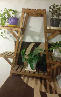 با سلام یک استند گل به فروش میرسه
