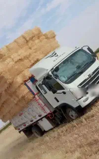 فورس خوابدار شش تن