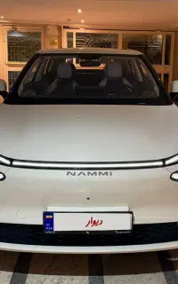 دانگ فانگ ( نامی ) ۲۰۲۵ تمام برقی