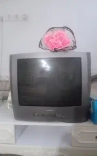 تلویزیون