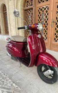 پاکشتی سوزوکی ورد دوزمانه