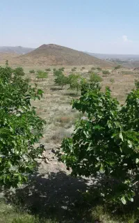 کوهنوردی وکمپینگ