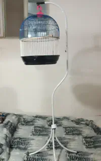 قفس ایستاده