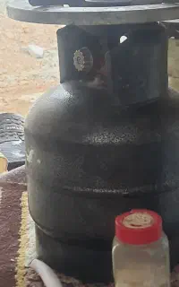 کفسول و پیکنیک گم کرده ام