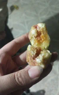 انجیر مخصوص خشک کردن
