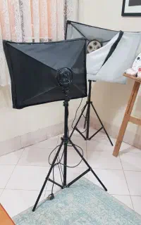 شاخه نور عکاسی