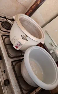ظرف پلوپز سالم