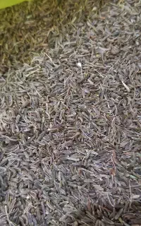 زیره کوهی درجه یک باعطربسیاربالا