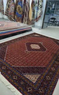 فرش دست بافت جفت شش متری ماهی اردبیل