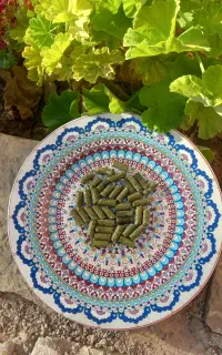 یونجه پیلت شده درجه یک
