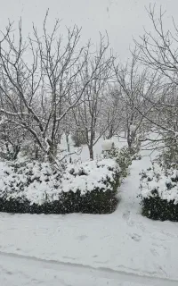 سرایدار باغ