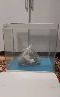 آکواریوم شرکتی شیشه خم