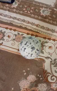 توپ فوتبال