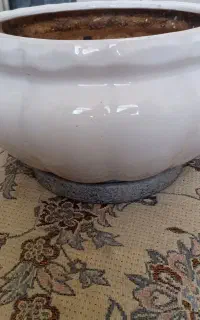 گلدان