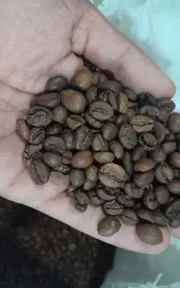 قهوه گرون نخر ....