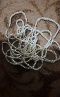 مرواریداصل پرورشی