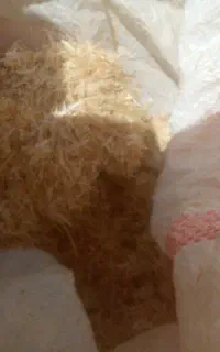 کاه گندم خرمن کوب نرم