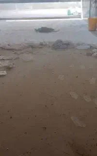 نظافت ساختمان