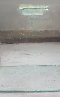اکواریوم