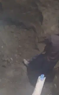 جویای کار روزمزد اجاره و نظافت خونه وساختمان نوساز
