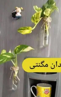 گلجای قشنگ مگنتی