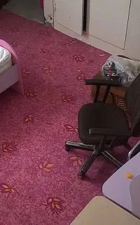 موکت