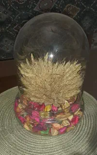 باکس شیشه ای با گندم وگل خشک