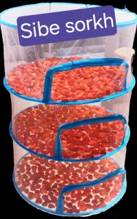 توری میوه وسبزی خشک کنی