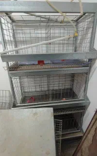 قفس مرغ تخمگذار