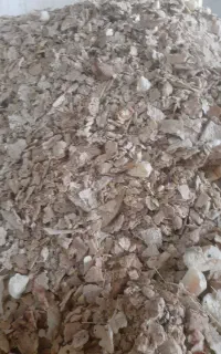 نون خشک