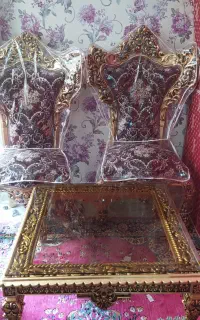 دو عدد صندلی میزبان