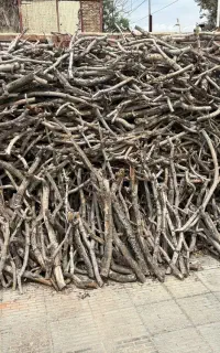 خرید چوپ بسته و انواع چوب میوه
