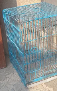 قفس بزرگ کاسکو