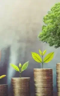 سرمایه گذاری یا شراکت