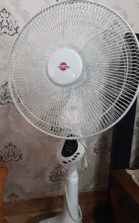 پنکه ایستاده