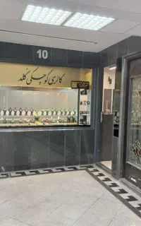 طلا فروشی اقلیما