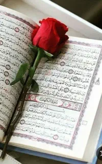 ختم قران(نماز وروزه برای مرحومین)