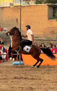 اسب