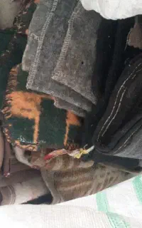پتو باربری