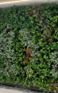 ایجاد کننده گرین وال هاوایی در طرح های روز دنیا