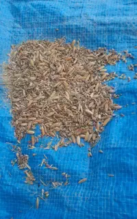 خوراک دام طیور دانه کنجاله جو سبوس گندم تفاله کاه