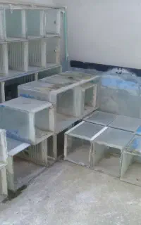 آکواریوم