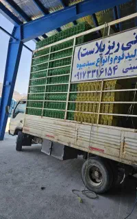 نیازمند ماشین ایسوزو با راننده برای اتاق سبدی